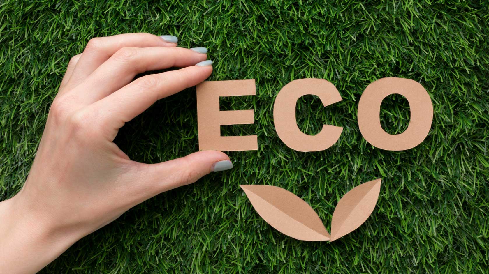 ECO
